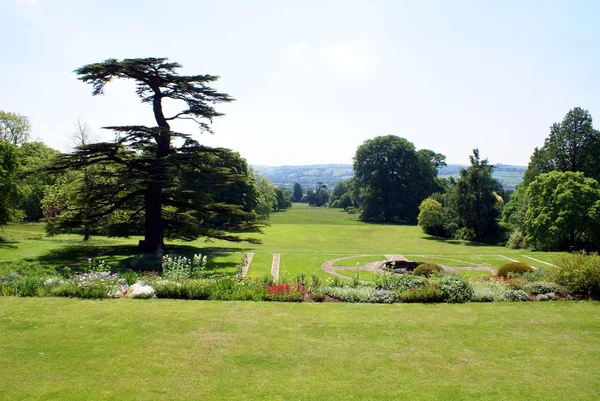 Garden — Stock Photo, Image