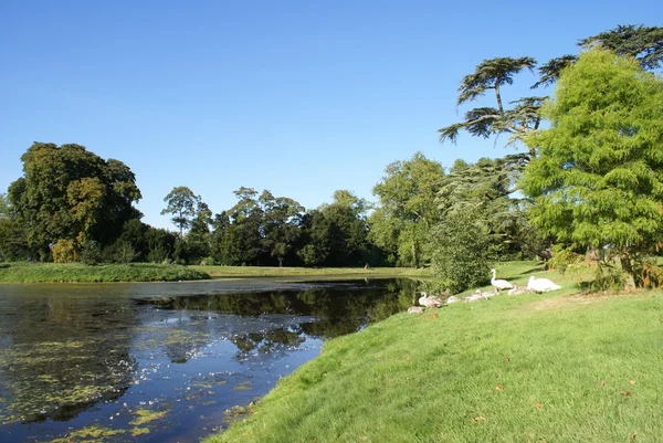 Croome Park lake em Worcester, Inglaterra — Fotografia de Stock