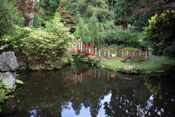 Bridge over a lake with goldfish — Stock Photo, Image