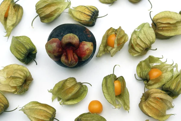 Mangostán y physalis — Foto de Stock