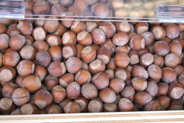 Hazelnut — Stock Photo, Image