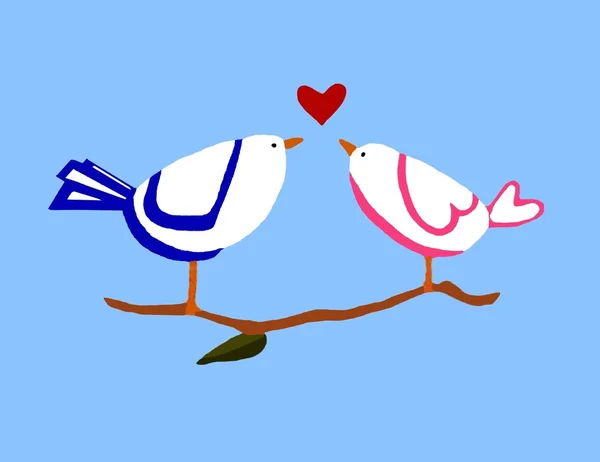 Bird couple sharing love — Stock Photo, Image