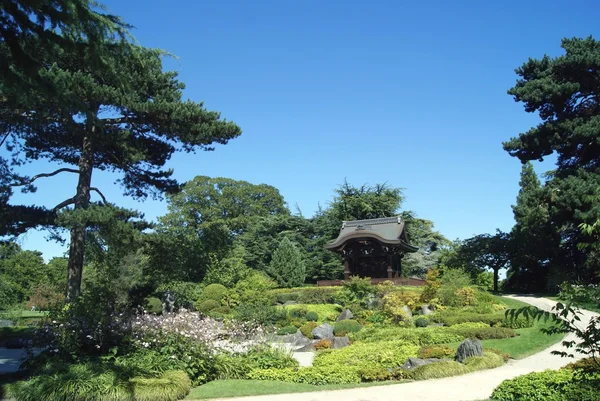 王立植物園、Kew、ロンドン、イングランド — ストック写真