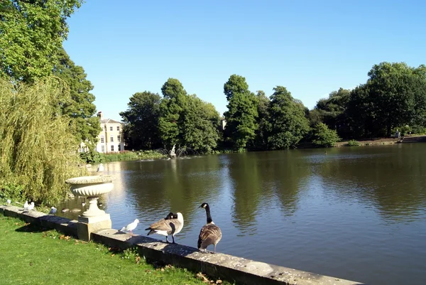 Os Jardins Botânicos Reais, Kew em Londres, Inglaterra — Fotografia de Stock