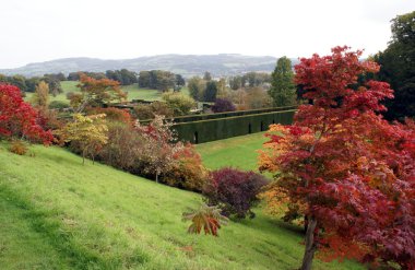 Sonbahar Powis görünümünü kale Bahçe İngiltere'de