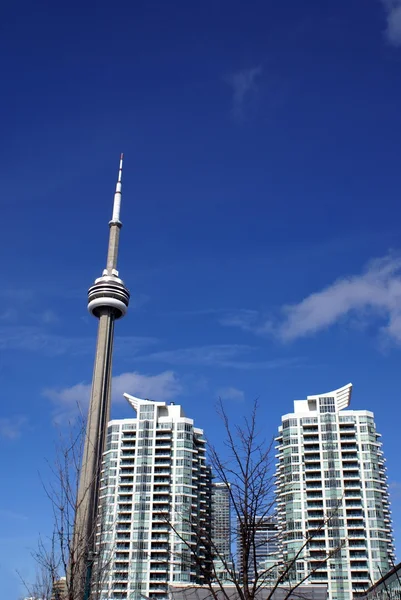 CN Tower in Downtown, Tornoto, Ontario, Canada — Stock Photo, Image