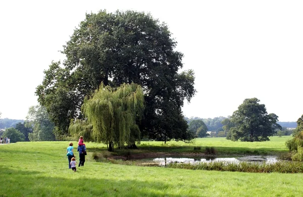 Familia caminando cerca de un lago en un campo —  Fotos de Stock