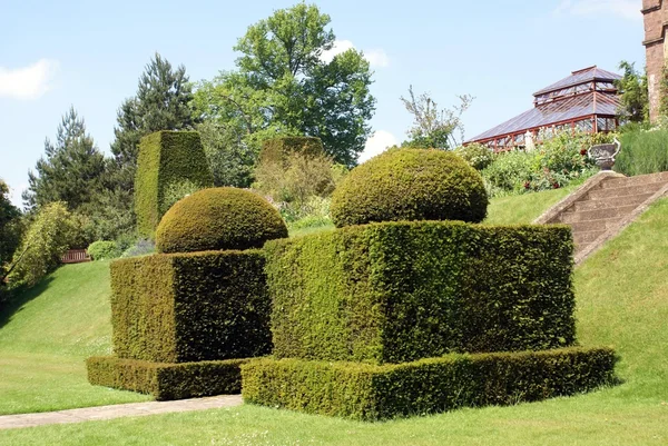 Topiary. yew topiary. topiary trees — Stock Photo © rose4 #55242039