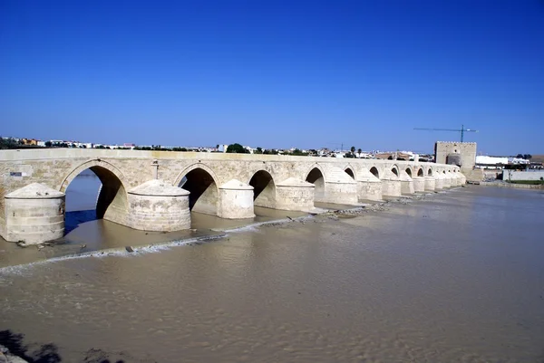 Mostu rzymskiego Kordoby w Hiszpanii — Zdjęcie stockowe