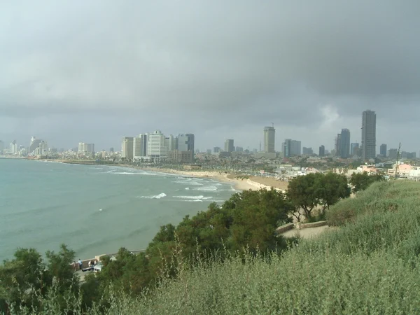 Abrasha Park Jaffa şehir, İsrail Deniz Sahil Tel Aviv kenti — Stok fotoğraf