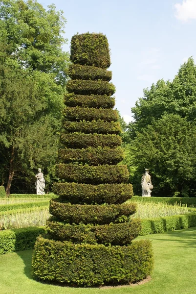 绿色雕塑树种植在花园里 — 图库照片