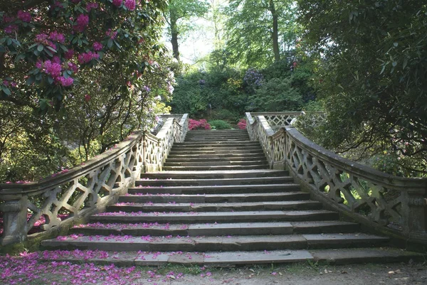 Hever Castelo jardim escadaria e cascata — Fotografia de Stock