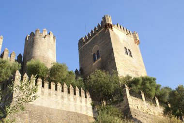 Almodovar Castle İspanya