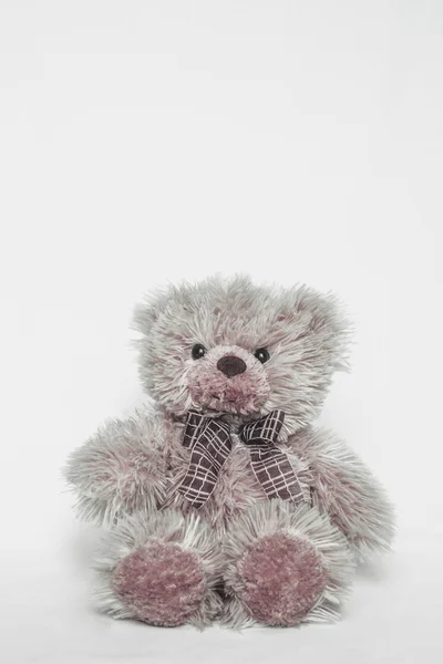 Urso de pelúcia em cinza — Fotografia de Stock