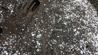 Büyük kar taneleri bir güdük düşüyor