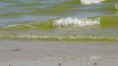 Kıyı Azak Denizi dalgalar 