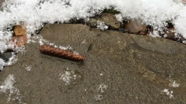 Große Schneeflocken fallen auf die Strecke — Stockvideo