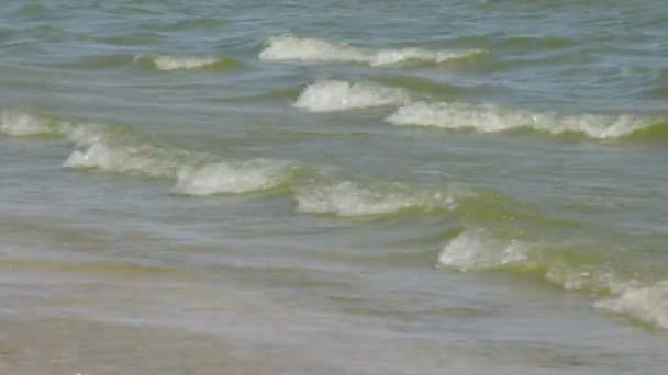 Côtier Azov vagues de la mer  