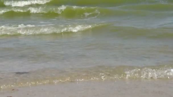 Côtier Azov vagues de la mer  