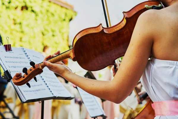 The violinist plays on a buffet — Stockfoto