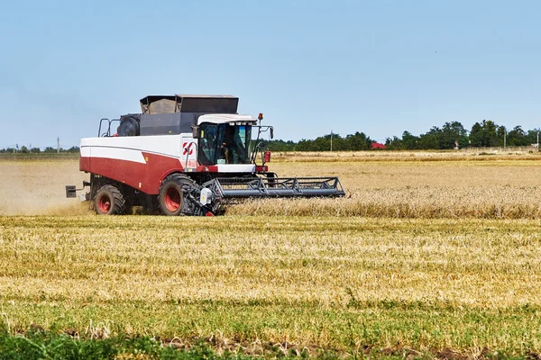 Innhøsting av hvete – stockfoto