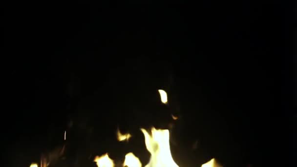 Die Flammen aus dem Feuer — Stockvideo