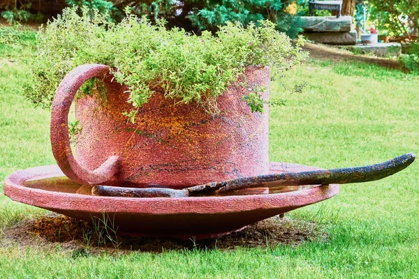 Sculpture cup and saucer — Stock Photo, Image