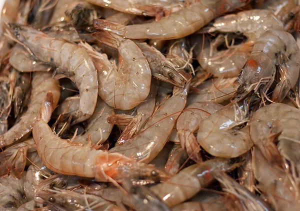 Fresh Prawns Royalty Free Stock Images