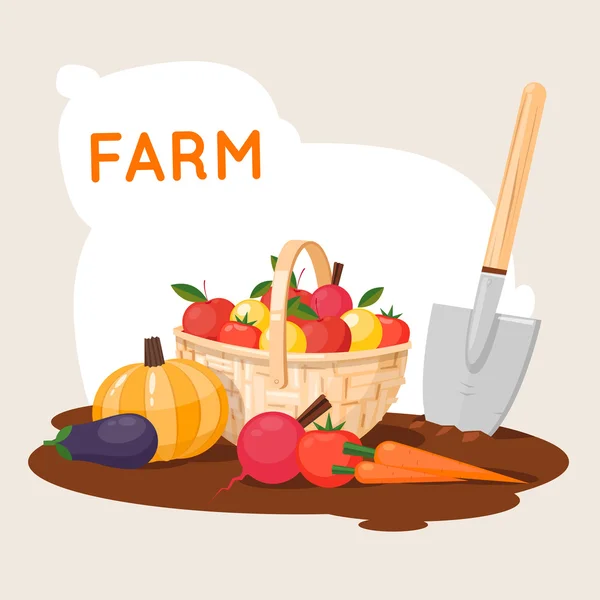 Vegetables grown on the farm — Stock Vector