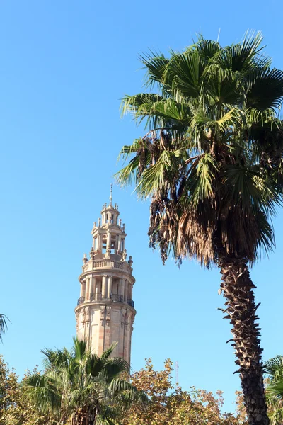 Palmera e iglesia Catedral de Barcelona campanario — Foto de Stock