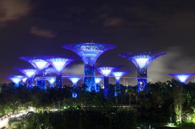 Supertree grove ve geceleri geçit Körfez, Singapur bahçelerde