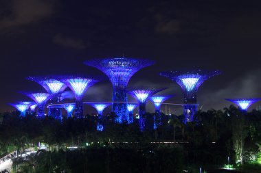 Supertree grove ve geceleri geçit Körfez, Singapur bahçelerde
