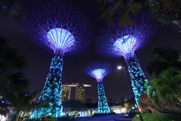 Supertree Grove und Marina Bay Sands bei Nacht in Gärten an der Bucht, Singapore — Stockfoto
