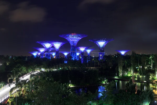 Supertree háj a chodník v noci v zahradách Bay, Singapur — Stock fotografie