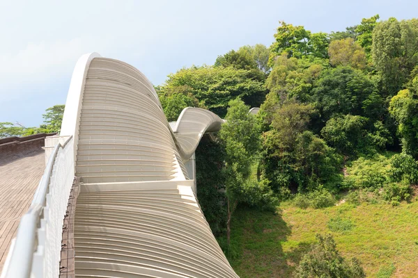 Henderson κύματα γέφυρας σε τροπικό δάσος Mount Faber, Σιγκαπούρη — Φωτογραφία Αρχείου