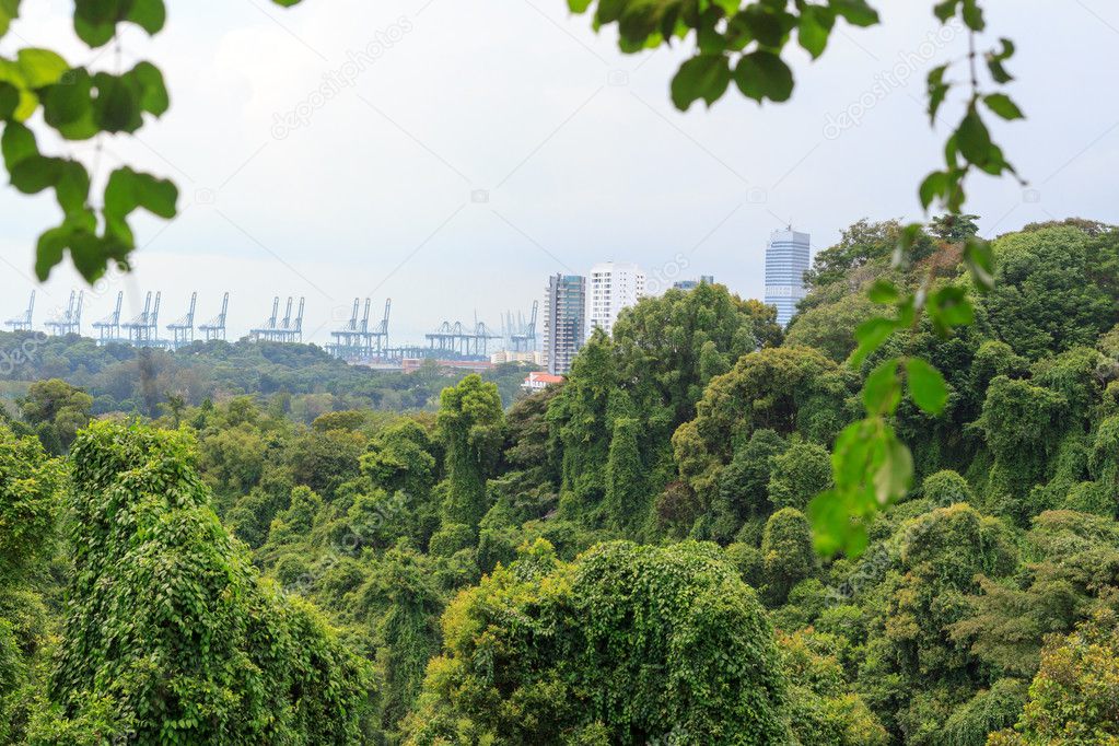 Thick rainforest on Mount Faber and port skyline in Singapore