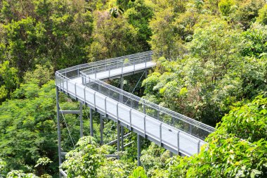 Orman yürümek, Telok eu Hill Park yağmur ormanları, Singapur