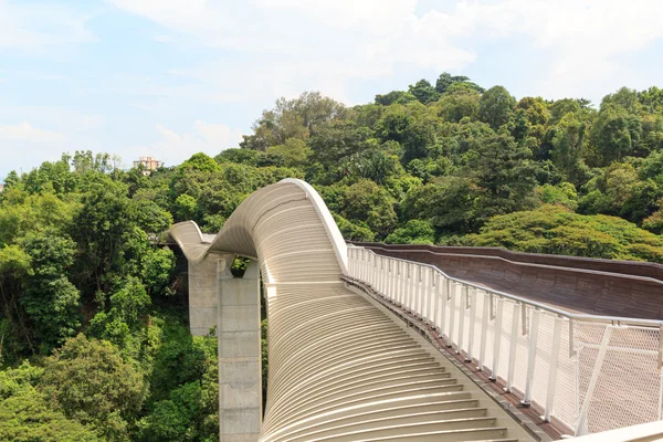 Mount Faber yağmur ormanları, Singapur köprüde Henderson dalgalar