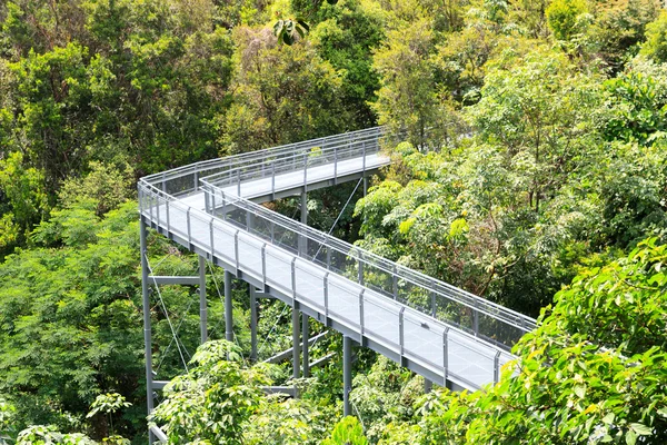 Orman yürümek, Telok eu Hill Park yağmur ormanları, Singapur