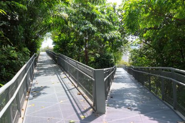 Orman yürümek, Telok eu Hill Park yağmur ormanları ve gökdelenler, Singapur