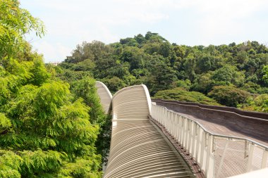 Mount Faber yağmur ormanları, Singapur köprüde Henderson dalgalar