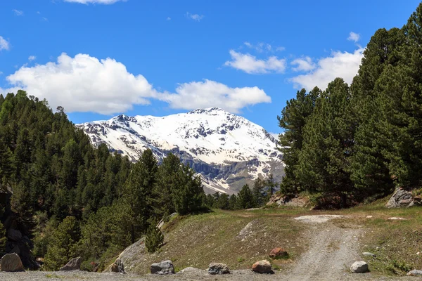 Monte Sobretta e sentiero escursionistico nelle Alpi Ortles — Foto Stock