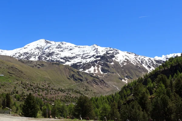 Palon de la Mare bergpanorama in Ortler Alpen, Italië — Stockfoto