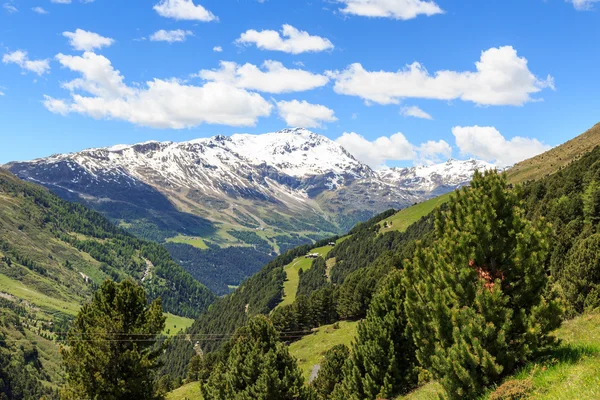 Monte Sobretta bergpanorama in Ortler Alpen, Italië — Stockfoto