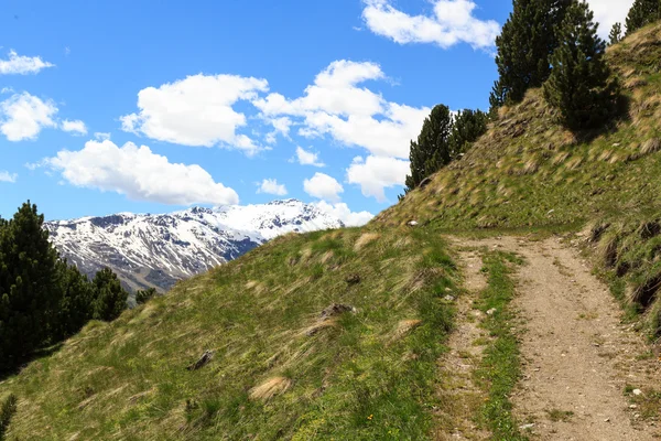 Berg Monte Sobretta en wandelpad in Ortler Alpen, Italië — Stockfoto