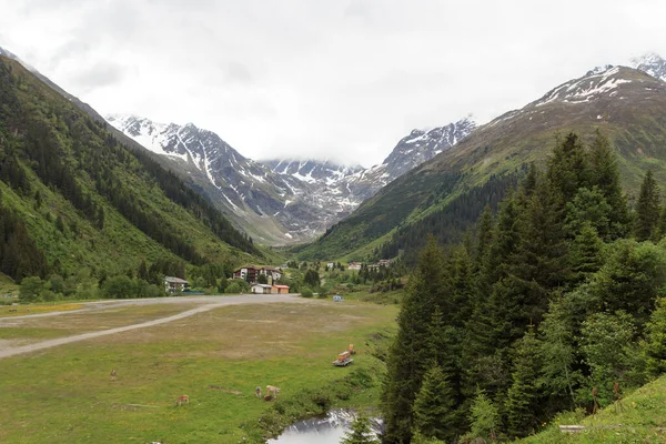 Panorama Valle Las Montañas Los Alpes Tirol Austria —  Fotos de Stock