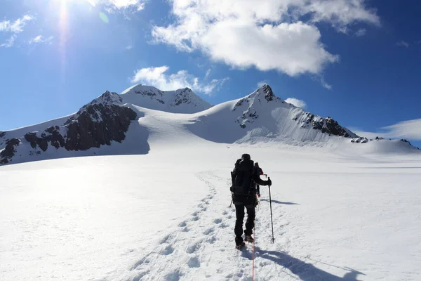 Rope team mountaineering with crampons on glacier Taschachferner towards Wildspitze and mountain snow panorama with blue sky in Tyrol Alps, Austria