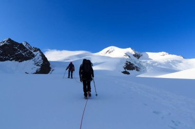 Halat ekibi buzul Taschachferner üzerindeki kramponlarla dağcılık yapıyor Wildspitze 'ye doğru ve Avusturya' nın Tyrol Alps şehrinde mavi gökyüzü olan dağ kar panoramasına doğru.