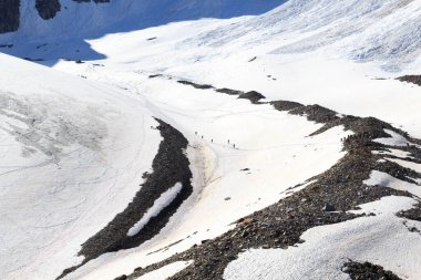Halat ekipleri Avusturya 'nın Tyrol Alpleri' nde buzul Taschachferner ve kar dağı panoramalarında kramponlarla dağcılık yapıyor.