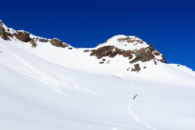 İp ekibi, buzul üzerinde kramponlarla Sexegertenferner 'a doğru Sexegertenspitze ve Avusturya' nın Tyrol Alps şehrinde mavi gökyüzü ile dağ kar panoramasına tırmanıyor.